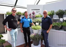 Steve Jones with Greenfuse Botamicals with plant breeder John Robb of Paradise Plants and Mark Lunghusen of Australian Horticultural Services, both all the way from Australia to visit the trials and of course John’s own bred lavendula’s, marketed by Greenfuse in the US.